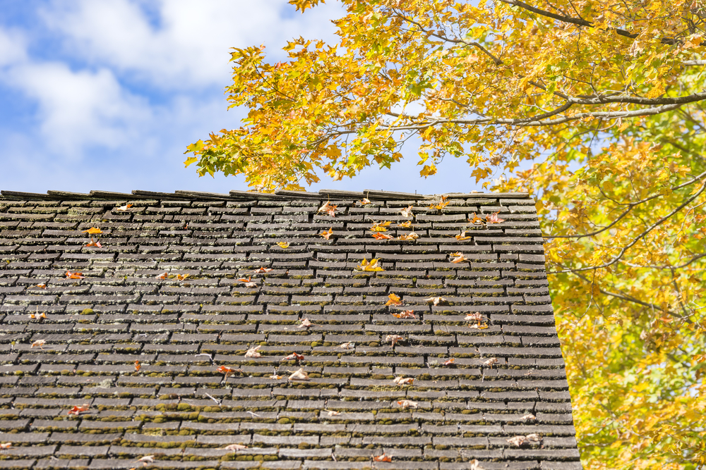 Best Season to Replace Your Roof