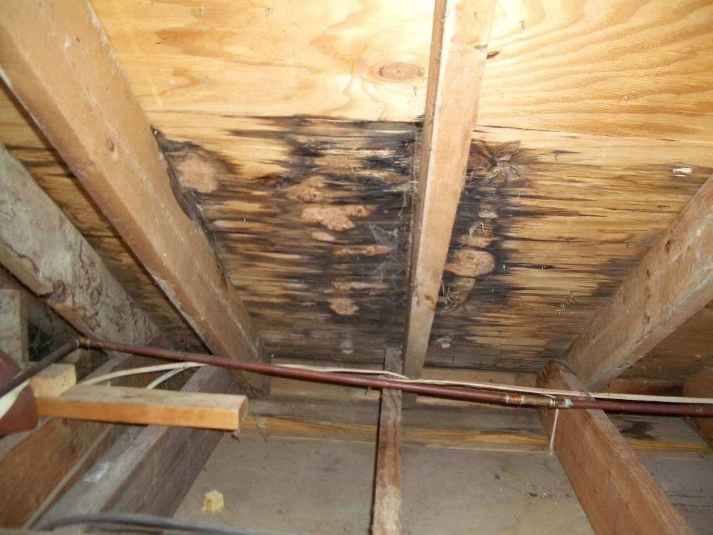 Water damage on the inside of an attic from a leak.