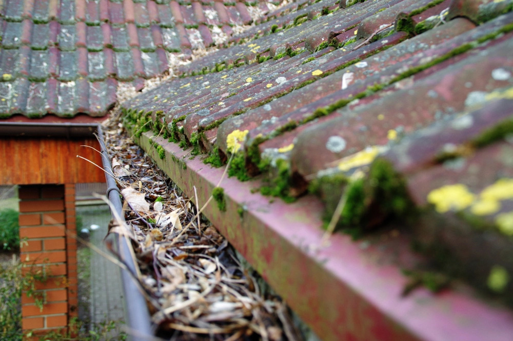 Getting Your Gutters Ready For Winter