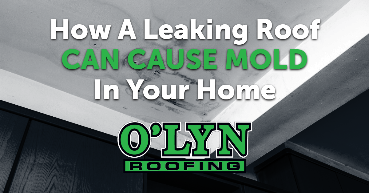 graphic with the caption How A Leaking Roof Can Cause Mold In Your Home