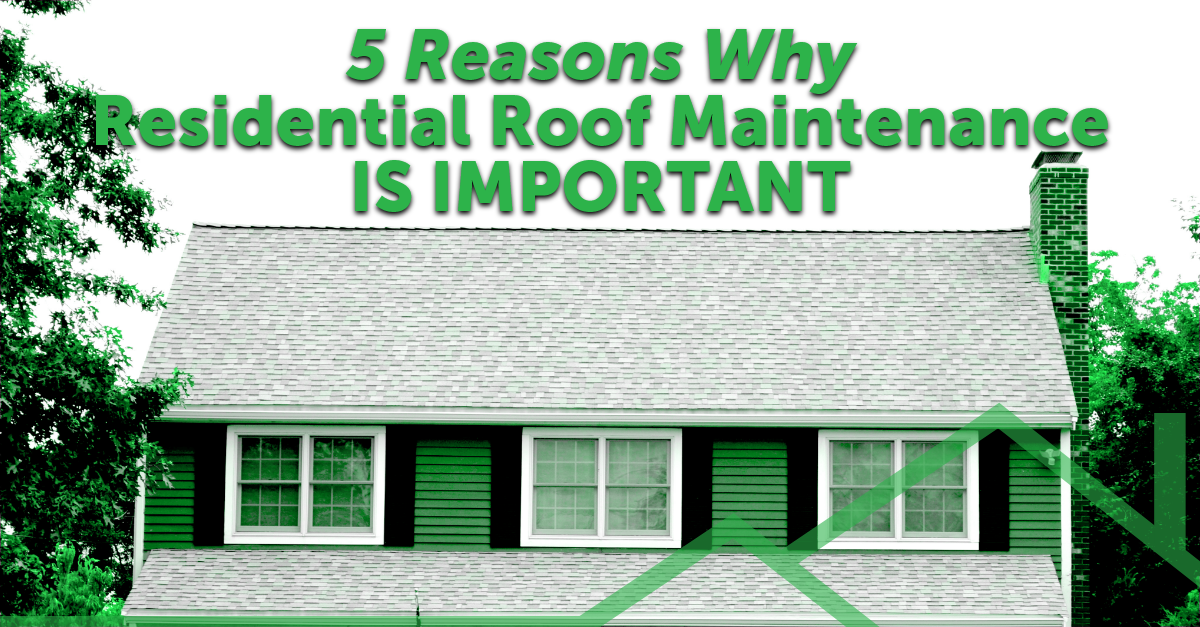 graphic with the quote 5 Reasons Why Residential Roof Maintenance Is Important