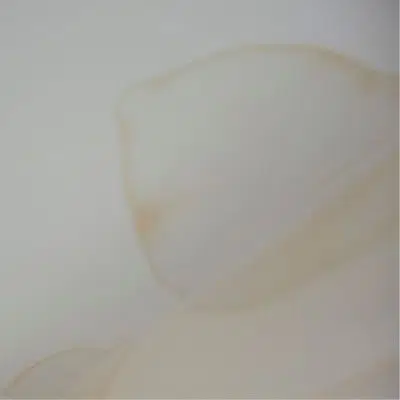 Stained white ceiling showing signs of water damage from roof leak