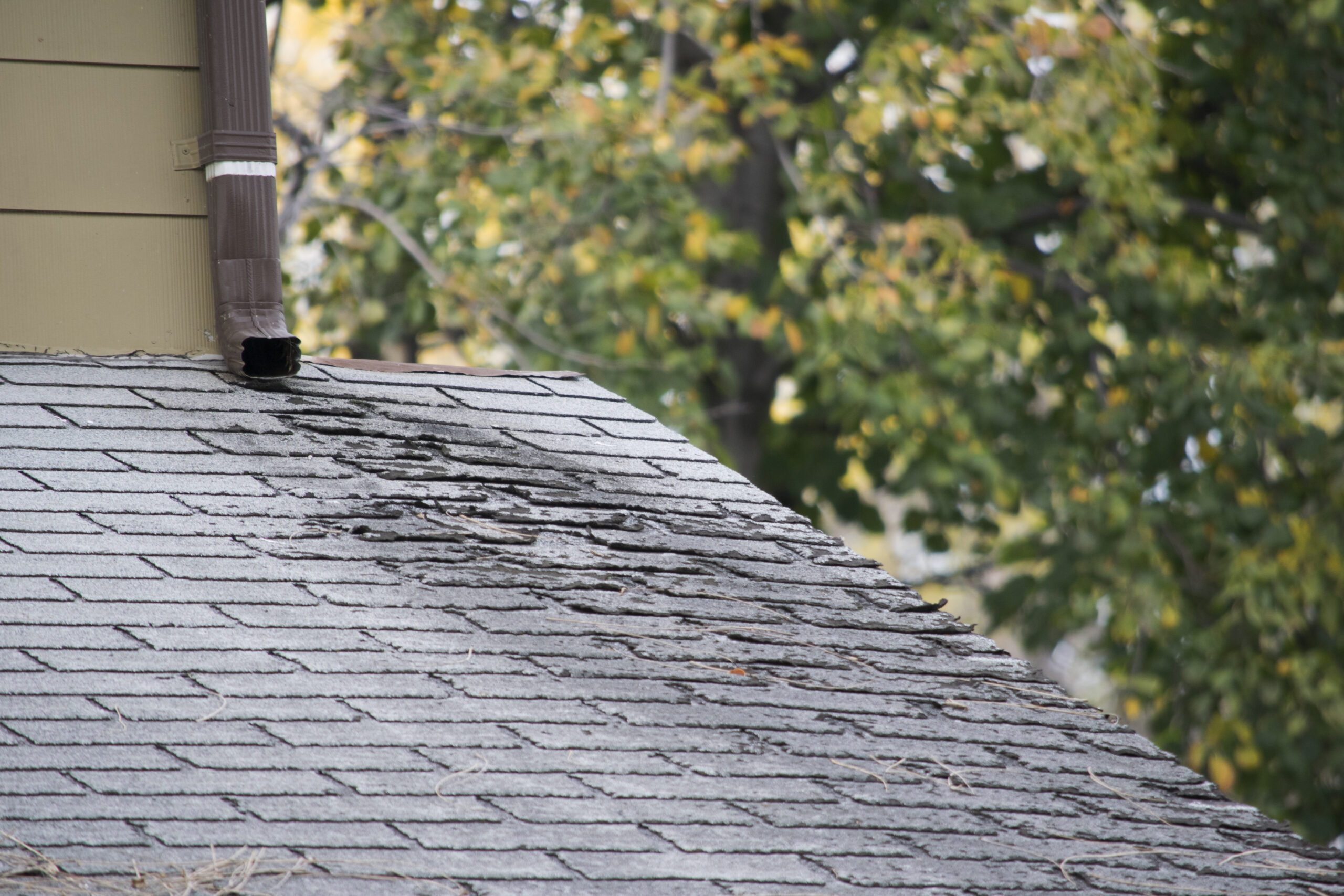 Smart Roofing Solutions for a Spring Home Refresh