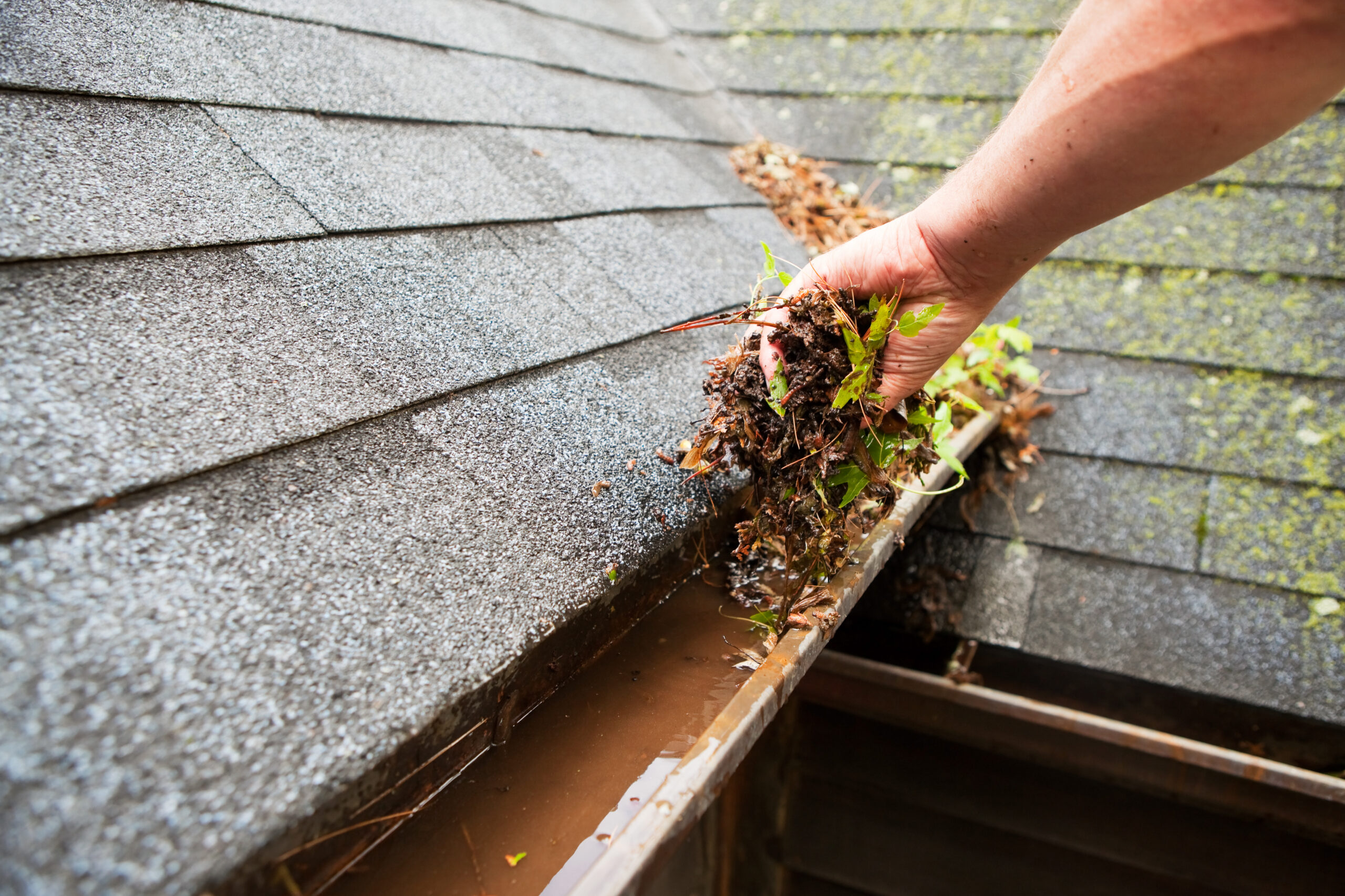Gutter Overflow: The Top 7 Causes and Best Solutions